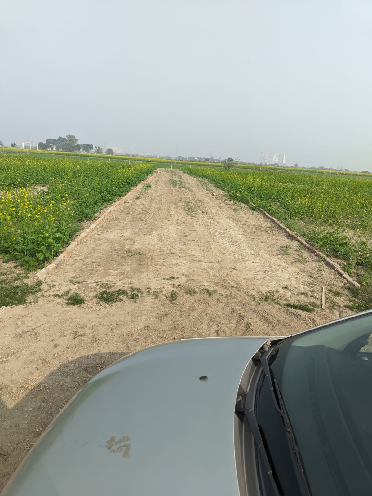 Plot For Resale in Yamuna Expressway Greater Noida  6220163