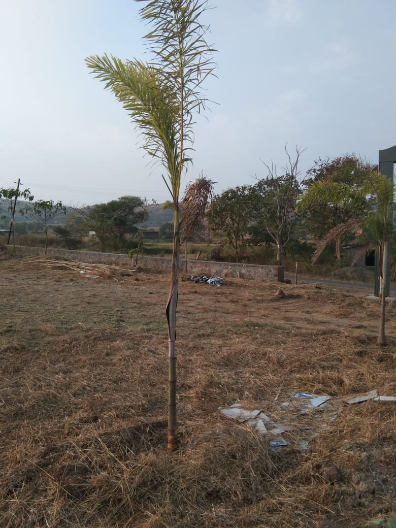 Resale 1000 Sq.Ft. Plot in Hinjewadi Pune 6220667