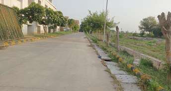  Plot For Resale in PropZone IMT Delight Homes  2 Sector 71 Faridabad 6220758