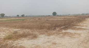  Plot For Resale in Agraula Ghaziabad 6220839
