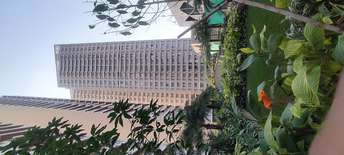 2 BHK Apartment For Rent in Kalpataru Radiance Goregaon West Mumbai 6221088