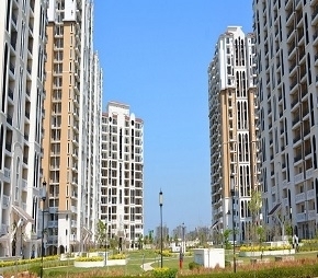 3 BHK Apartment For Resale in DLF New Town Heights II Sector 86 Gurgaon  6221829