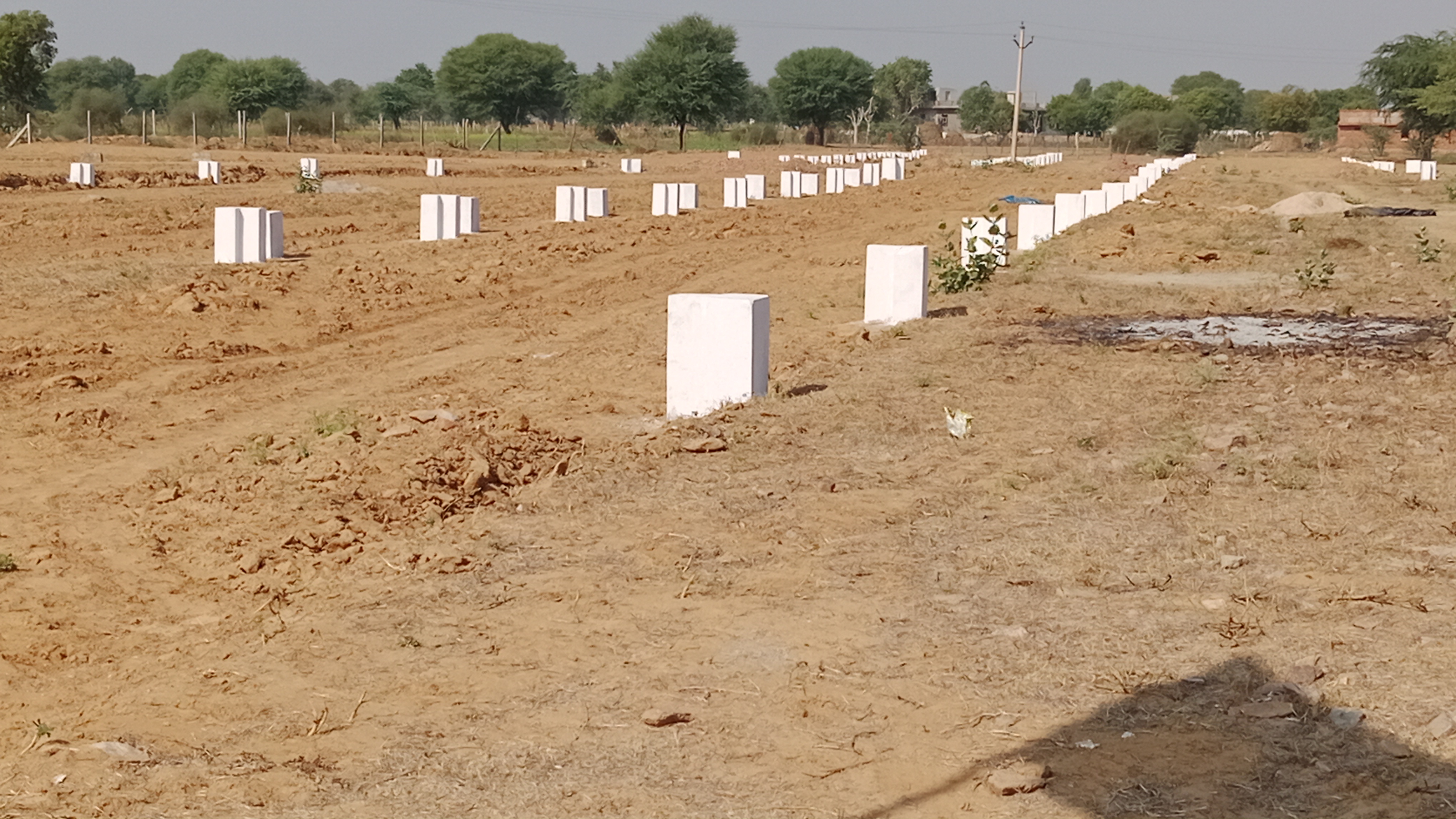 Plot For Resale in Muhana Jaipur  6221828