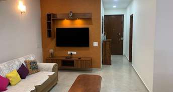 3 BHK Apartment For Rent in Bestech Park View Spa Next Sector 67 Gurgaon 6222009