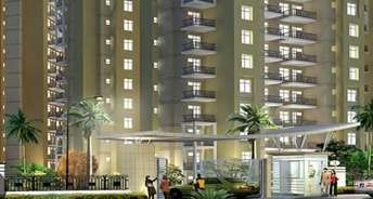 4 BHK Apartment For Resale in Orris Aster Court Premier Sector 85 Gurgaon 6222026