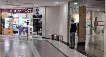 Commercial Showroom 1264 Sq.Ft. For Rent In Sector 28 Gurgaon 6222777