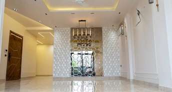 3 BHK Builder Floor For Rent in Sector 17a Gurgaon 6223082