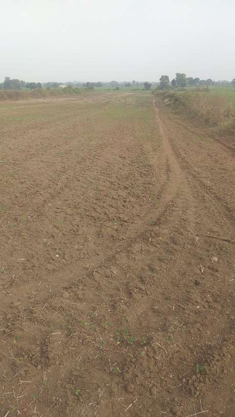 Commercial Land 2 Acre in Anwala Bhopal