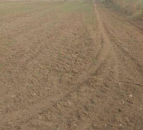Commercial Land 2 Acre in Anwala Bhopal