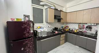 3 BHK Builder Floor For Resale in New Colony Gurgaon 6223340