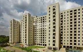 3 BHK Apartment For Resale in Umang Monsoon Breeze Phase I Sector 78 Gurgaon 6223733