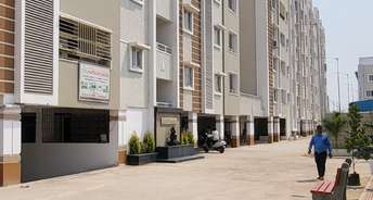 2 BHK Apartment For Rent in Borivali West Mumbai 6223929