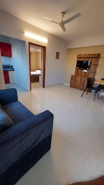 1 BHK Apartment For Rent in Bellandur Bangalore 6210867