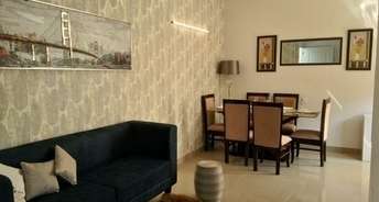 3 BHK Apartment For Resale in Terra Lavinium Sector 75 Faridabad 6224629