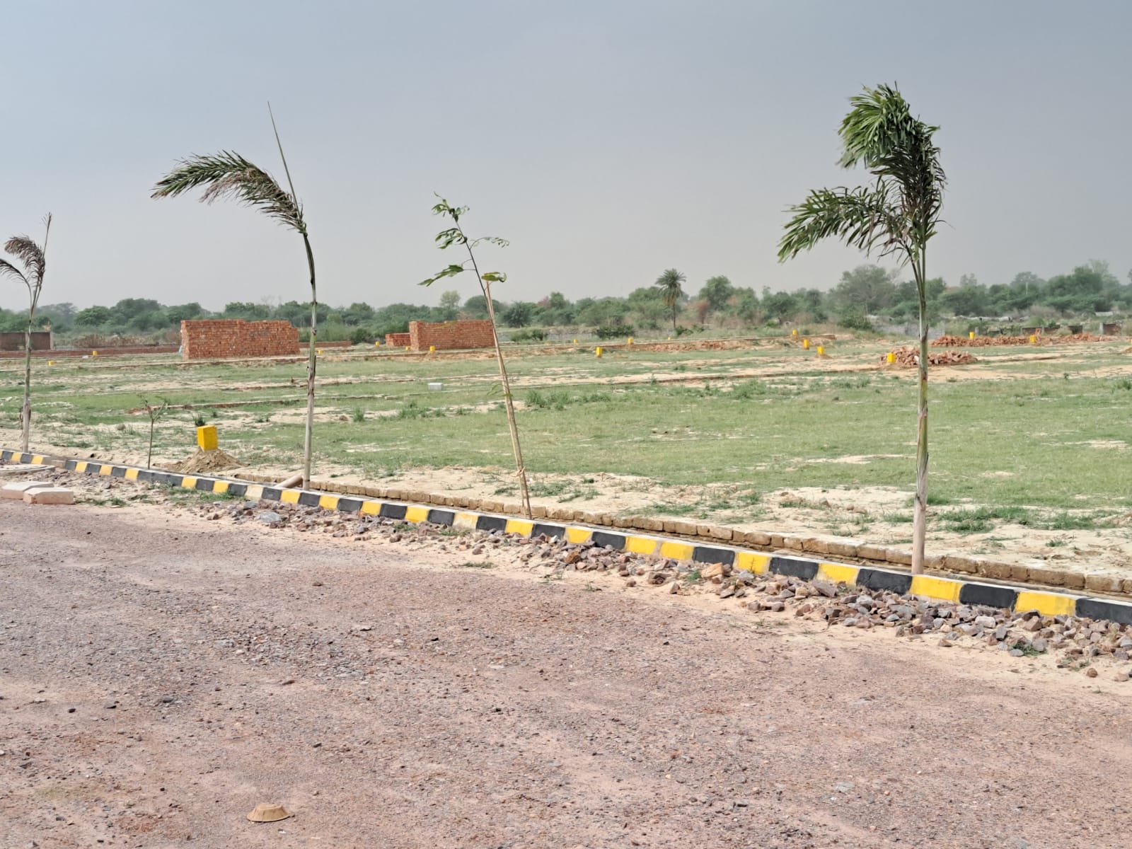 Plot फॉर रीसेल इन Yamuna Expressway Greater Noida  6224968