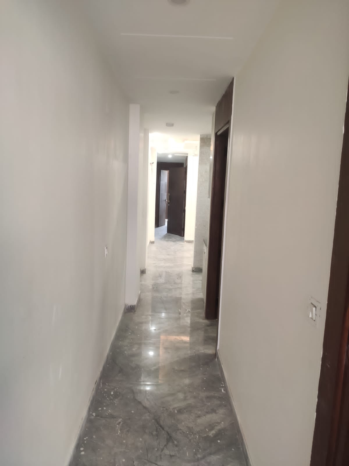 3 BHK Builder Floor For Resale in Malviya Nagar Delhi  6224977