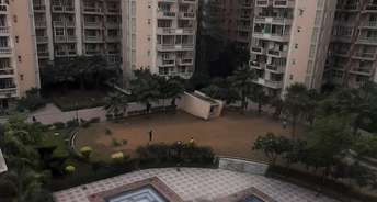 3 BHK Apartment For Resale in Parsvnath Green Ville Sector 48 Gurgaon 6225037