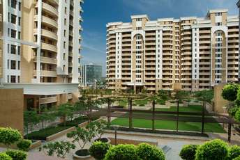 5 BHK Apartment For Rent in Vipul Belmonte Sector 53 Gurgaon 6225321