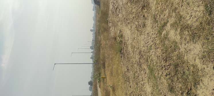 1000 Sq.Mt. Plot in Yamuna Expressway Greater Noida