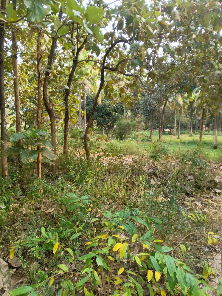 1 Acre Plot in Hunsur Road Mysore