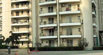3 BHK Apartment For Rent in BPTP Discovery Park Sector 80 Faridabad 6226123