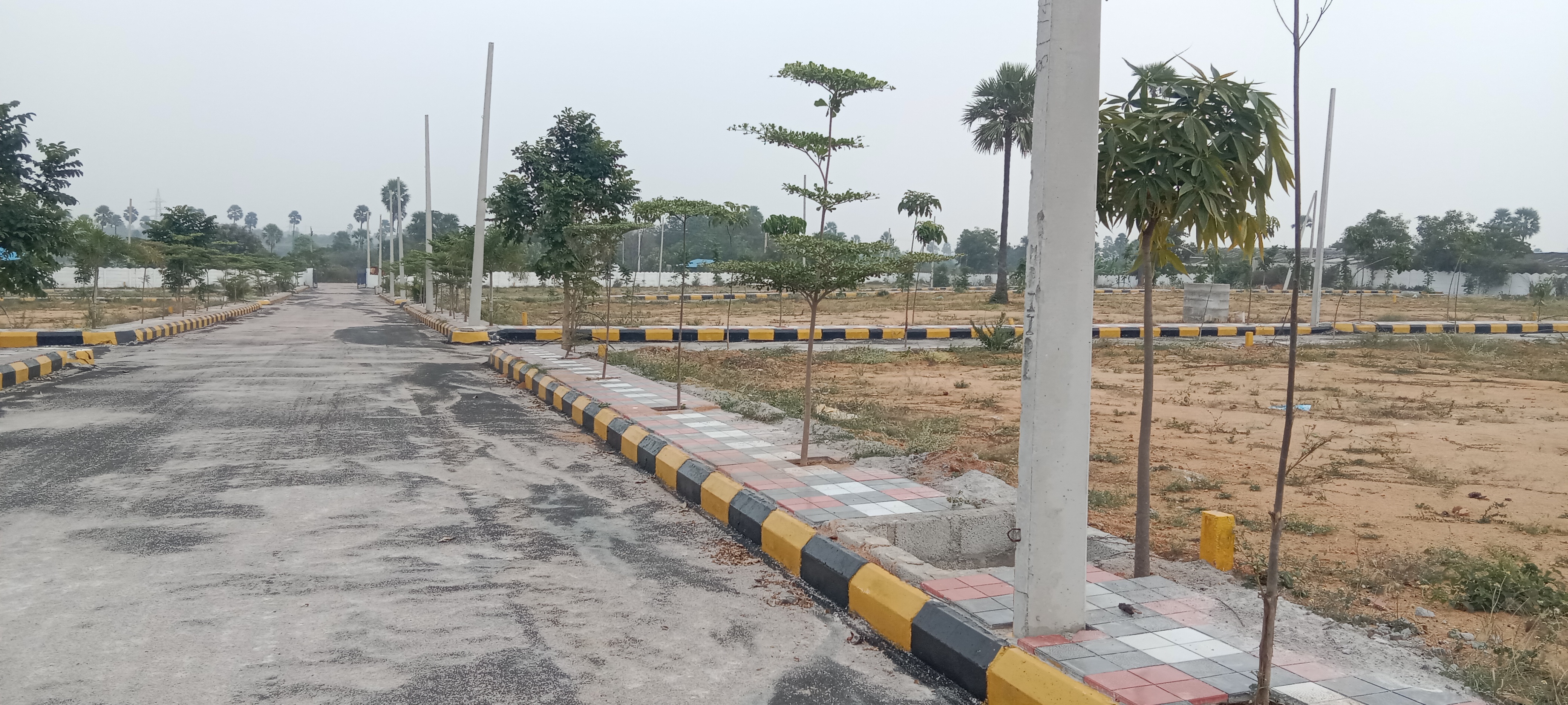 Plot For Resale in Bhel Hyderabad  6226487