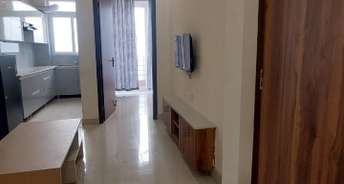 2 BHK Builder Floor For Rent in Ashiana Silver Crest Sector 48 Gurgaon 6226728