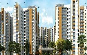 2 BHK Apartment For Rent in Amrapali Leisure Park Amrapali Leisure Valley Greater Noida 6226919