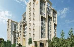 2 BHK Apartment For Rent in Saroj Harmony Gunjur Palya Bangalore 6227723