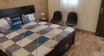 1 BHK Apartment For Rent in RWA Defence Colony Block A Defence Colony Delhi 6228855