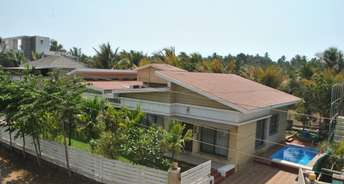 4 BHK Villa For Resale in Nagaon Navi Mumbai 6229486