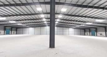 Commercial Warehouse 10000 Sq.Ft. For Rent In Odhav Ahmedabad 6229766