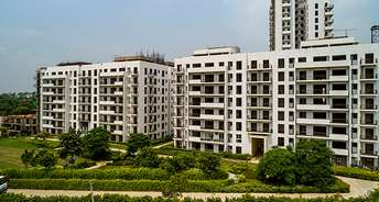 2 BHK Apartment For Resale in Vatika Seven Elements Sector 89a Gurgaon 6230073