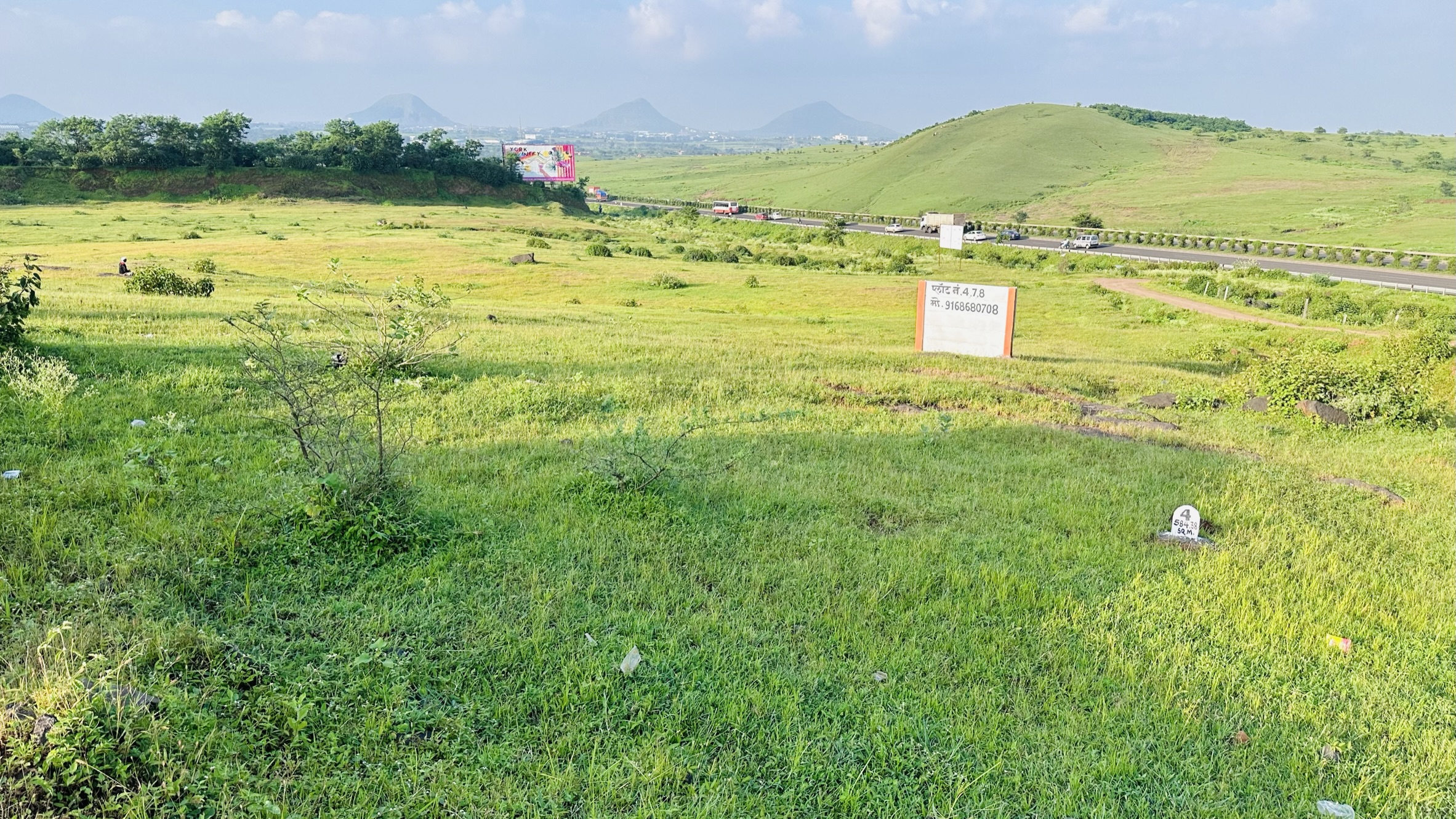 Resale 4035 Sq.Ft. Plot in Nashik Road Nashik 6230581