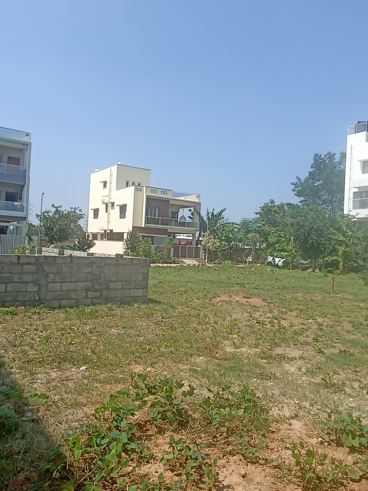 Resale 2400 Sq.Ft. Plot in Sarjapur Road Bangalore 6230871