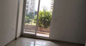 3 BHK Apartment For Resale in Omaxe New Heights Sector 78 Faridabad 6231223