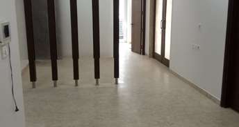 4 BHK Builder Floor For Rent in RWA Geetanjali Enclave Malviya Nagar Delhi 6231393