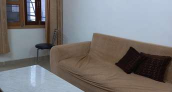 1 BHK Apartment For Rent in Ninex RMG Residency Sector 37c Gurgaon 6231987