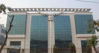 Commercial Office Space 20000 Sq.Ft. For Rent In Sector 32 Gurgaon 6231962