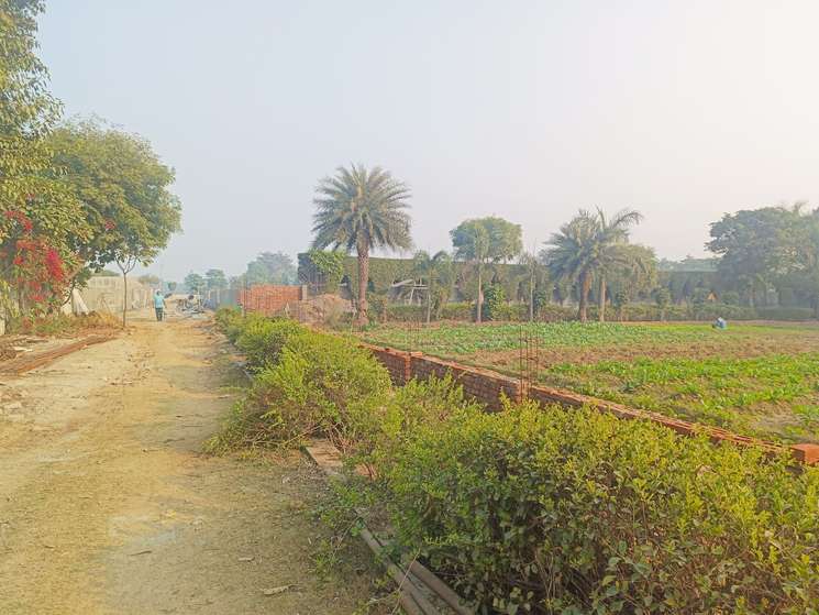 Lrg Farm House Sector 61 Faridabad