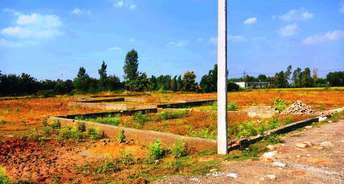  Plot For Resale in Gn Knowledge Park 1 Greater Noida 6232389