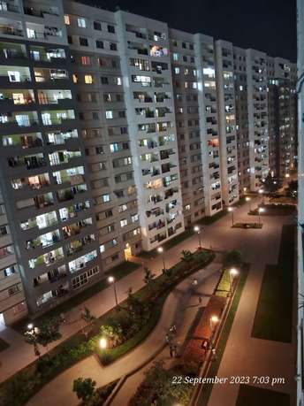 2 BHK Apartment For Rent in Sobha Dream Acres Panathur Bangalore 6232547