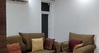 1 BHK Apartment For Rent in RWA Dilshad Garden Block A B D & E Dilshad Garden Delhi 6232993