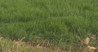Commercial Land 3 Acre For Resale In Phanda Bhopal 6233196