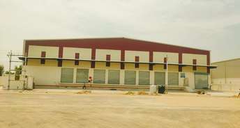Commercial Warehouse 46000 Sq.Ft. For Rent In Bagru Jaipur 6233350