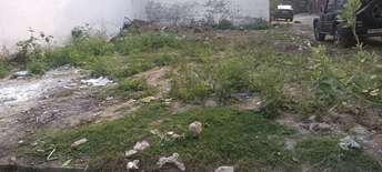  Plot For Resale in Ashiyana Lucknow 6233843