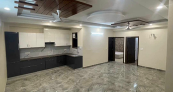 2 BHK Builder Floor For Rent in Ansal Plaza Sector 23 Sector 23 Gurgaon 6233999