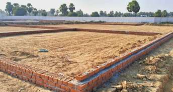  Plot For Resale in Faizabad Road Lucknow 6234251
