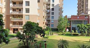 3 BHK Apartment For Rent in Old Ambala Road Panchkula 6234655