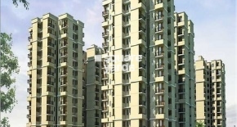 1 BHK Apartment For Rent in Auric City Homes Sector 82 Faridabad 6235259